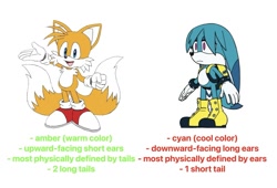 Size: 1590x1080 | Tagged: safe, editor:stellarg1ow, kit the fennec, miles "tails" prower, fox, 2025, design comparison, duo, edit, english text, fennec, flat colors, simple background, standing, text, white background