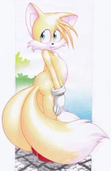 Size: 1448x2236 | Tagged: safe, artist:yellowwindow6, miles "tails" prower, fox, 2014, :3, cute, looking back, looking offscreen, male, outdoors, smile, solo, solo male, standing, tailabetes