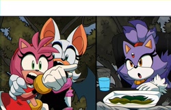 Size: 2160x1390 | Tagged: safe, artist:mista__jonz, amy rose, blaze the cat, rouge the bat, meme, trio, woman yelling at cat