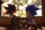 Size: 1362x892 | Tagged: safe, artist:tamjeong_sonic, shadow the hedgehog, sonic the hedgehog, 2025, backlighting, cup, daytime, duo, duo male, eyes closed, frown, gay, grin, head rest, indoors, lidded eyes, looking at them, male, one shoe, shadow x sonic, shipping, sitting, smile, table, window