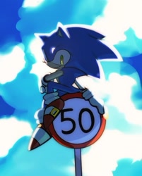 Size: 539x671 | Tagged: safe, artist:tamjeong_sonic, sonic the hedgehog, 2025, clouds, daytime, looking at viewer, outdoors, sign, sitting, smile, solo