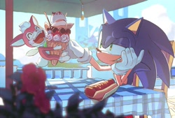 Size: 1200x810 | Tagged: safe, artist:cham__623, chip, sonic the hedgehog, sonic unleashed, 2025, apotos, chili dog, daytime, duo, eyes closed, food, grin, head rest, ice cream, looking at them, mouth open, outdoors, sitting, smile, sundae supreme, table