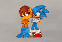 Size: 800x536 | Tagged: safe, artist:sebas289377, sally acorn, sonic the hedgehog, chipmunk, hedgehog, 2026, animated, blushing, catch, duo, female, gif, holding them, male, pencilwork, sally x sonic, sally's vest and boots, shipping, simple background, straight, sweatdrop, throwing, traditional media