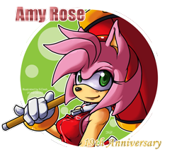 Size: 1280x1100 | Tagged: safe, artist:sonicdash, amy rose, 2012, anniversary, character name, english text, holding something, looking at viewer, outline, piko piko hammer, simple background, smile, solo, text, transparent background, zip