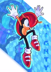 Size: 1448x2048 | Tagged: safe, artist:woniksonik, mighty the armadillo, 2026, abstract background, arms out, arms up, falling, looking down, mid-air, outline, signature, smile, solo