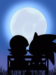 Size: 1536x2048 | Tagged: safe, artist:apontedavid543, sally acorn, sonic the hedgehog, chao, 2025, bench, duo, female, hugging, looking at each other, male, moon, nighttime, sally x sonic, sally's ringblader outfit, shadow (lighting), shipping, sitting, straight