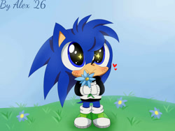 Size: 1032x774 | Tagged: safe, artist:sleepy3head, oc, oc:alex the hedgehog, hedgehog, 2026, abstract background, blue eyes, child, flowers, grass, grass field, green shoes, holding something, hoodie, looking at viewer, oc only, ocbetes, sky background, smile, sparkling eyes