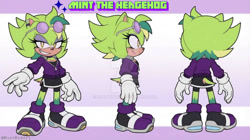 Size: 1280x715 | Tagged: safe, artist:mintmidori, oc, oc:mint the hedgehog, hedgehog, 2026, character name, clenched teeth, clothes, english text, eyewear on head, female, flat colors, fur markings, gloves, jacket, lidded eyes, looking at viewer, looking offscreen, multiple views, oc only, reference sheet, shoes, shorts, skirt, smile, socks, solo, sparkles, standing, sunglasses, text