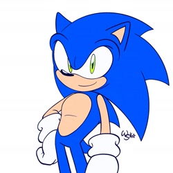 Size: 1961x1961 | Tagged: safe, artist:woniksonik, sonic the hedgehog, hedgehog, 2026, flat colors, looking at viewer, male, signature, simple background, smile, solo, standing, white background