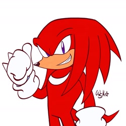 Size: 1961x1961 | Tagged: safe, artist:woniksonik, knuckles the echidna, echidna, 2026, clenched teeth, flat colors, looking at viewer, male, signature, simple background, smile, solo, standing, thumbs up, white background