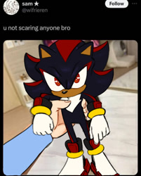 Size: 544x675 | Tagged: safe, artist:seasaltcosmos, shadow the hedgehog, oc, hedgehog, human, 2026, ambiguous gender, cute, duo, english text, hand, holding them, looking at viewer, meme, offscreen character, photographic background, shadowbetes, solo focus, text, twitter