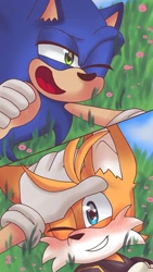 Size: 600x1067 | Tagged: safe, artist:appleandcinnamon, miles "tails" prower, nine, sonic the hedgehog, 2025, age difference, blushing, duo, flower, gay, grass, headpats, looking at each other, nine x sonic, one eye closed, outdoors, shipping, smile, sonic x tails