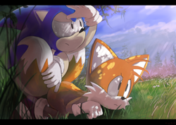 Size: 3508x2480 | Tagged: safe, artist:井上くと, miles "tails" prower, sonic the hedgehog, 2021, absurd res, all fours, classic sonic, classic tails, clouds, daytime, duo, frown, grass, looking offscreen, nature, outdoors, plant, tree