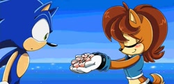 Size: 991x480 | Tagged: safe, artist:eva-1999, sally acorn, sonic the hedgehog, 2013, blushing, daytime, duo, eyes closed, female, flower, giving object, holding something, looking at something, male, needs more jpeg, sally x sonic, sally's ringblader outfit, shipping, smile, straight, water