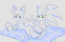 Size: 800x518 | Tagged: safe, artist:shotapop, miles "tails" prower, sonic the hedgehog, 2026, age difference, blanket, blushing, brush, brushing, brushing tail, duo, gay, grass, grey background, holding something, lidded eyes, looking at them, monochrome, outdoors, shipping, simple background, sitting, smile, sonic x tails, spot color