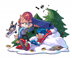 Size: 1920x1547 | Tagged: safe, artist:angiethecat, miles "tails" prower, nicole the hololynx, sally acorn, sonic the hedgehog, chipmunk, fox, hedgehog, lynx, 2024, bruise, christmas, clothes, female, first aid kit, holding something, hololynx, looking at viewer, male, nicole's purple wraps, quartet, ring, sally x sonic, shipping, simple background, snow, snowboard, straight, tree, trio focus, white background, winter outfit, wound