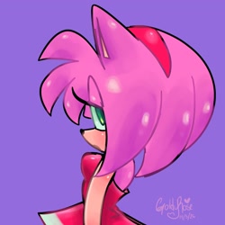 Size: 2038x2038 | Tagged: safe, artist:goldyrose22, amy rose, female, lidded eyes, purple background, side view, simple background, solo, watermark