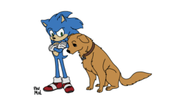 Size: 1280x720 | Tagged: safe, artist:paumol, ozzy the dog, sonic the hedgehog, dog, sonic the hedgehog (2020), absurd res, animated, arms folded, duo, flat colors, frown, gif, idle, literal animal, looking at them, looking down, signature, sitting, standing, wagging tail