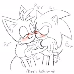 Size: 2048x2048 | Tagged: safe, artist:la_gata_golosa_, miles "tails" prower, sonic the hedgehog, 2025, blushing, cute, duo, eyes closed, gay, hugging, line art, monochrome, purring, sfx, shipping, simple background, smile, sonabetes, sonic x tails, spot color, standing, tailabetes, wagging tail, white background