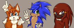 Size: 1193x447 | Tagged: safe, artist:shaythesleepyking, knuckles the echidna, miles "tails" prower, sonic the hedgehog, 2026, anime, cheek fluff, chest fluff, dark skin, eyebrow clipping through hair, eyelashes, fangs, fluffy, frown, grey background, hand on hip, looking at viewer, looking offscreen, mouth open, pointing, shoulder fluff, simple background, smile, style emulation, team sonic, trio, v sign