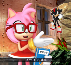 Size: 1280x1167 | Tagged: safe, amy rose, shadow the hedgehog, 2018, amy mistaking everyone for sonic, book, duo, english text, glasses, hand out, holding something, is this x?, japanese text, meme, official artwork, text