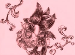 Size: 750x552 | Tagged: safe, artist:dgshadowchocolate, amy rose, shadow the hedgehog, hedgehog, 2014, age difference, amy x shadow, blushing, duo, eyes closed, female, holding each other, hugging, kiss, male, monochrome, shipping, standing, straight