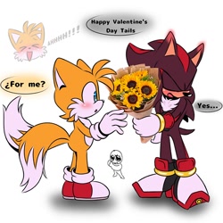 Size: 800x800 | Tagged: safe, artist:jhoycookie, miles "tails" prower, shadow the hedgehog, 2025, aaa, blushing, blushing ears, bouquet, cute, dialogue, duo, english text, flat colors, flower, gay, grammatical error, holding something, shadow (lighting), shadow x tails, shipping, simple background, sunflower, tailabetes, text, valentine's day, white background