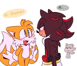 Size: 800x692 | Tagged: safe, artist:jhoycookie, miles "tails" prower, shadow the hedgehog, 2025, blushing, cute, dialogue, duo, english text, flat colors, gay, grammatical error, looking at each other, shadow x tails, shipping, simple background, smile, tailabetes, talking, text, white background