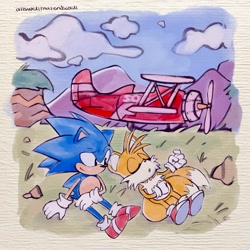 Size: 2048x2048 | Tagged: safe, artist:ifijustfollowyou, miles "tails" prower, sonic the hedgehog, fox, hedgehog, 2025, aircraft, biplane, clouds, daytime, duo, eyes closed, fanfiction art, female, grass, looking back, male, mountain, outdoors, sitting, sleeping, smile, tornado i, treads, vehicle