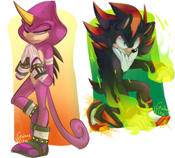 Size: 2000x1800 | Tagged: safe, artist:galaxynite, espio the chameleon, shadow the hedgehog, 2016, absurd res, duo, hands together, lidded eyes, looking at viewer, looking offscreen, signature, standing, standing on one leg