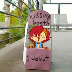 Size: 640x640 | Tagged: safe, artist:pumpkinrouge, sally acorn, chipmunk, 2026, english text, female, irl, kissing booth, looking at viewer, meme, sally's vest and boots, solo, stands